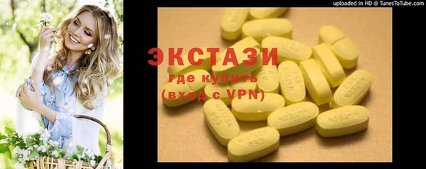 гидра Тайга
