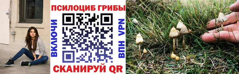 Галлюциногенные грибы мухоморы  Купить где  Салехард 